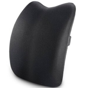 BACK SEAT CUSHION